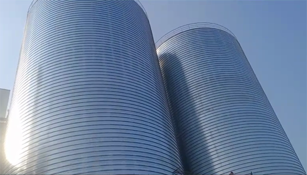 泰和2座混凝土高架卷板仓